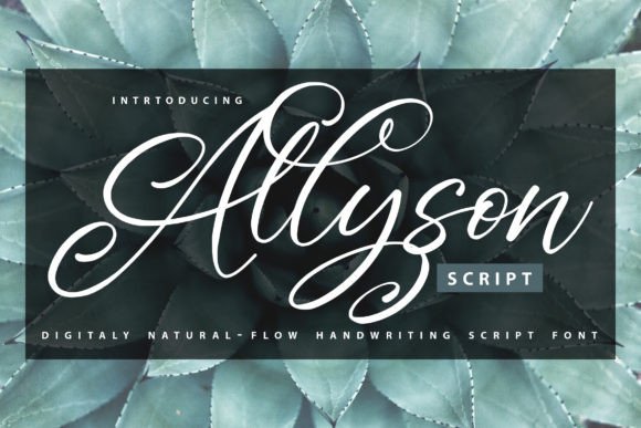 Allyson Font: A Web Designer’s Review for Digital Branding