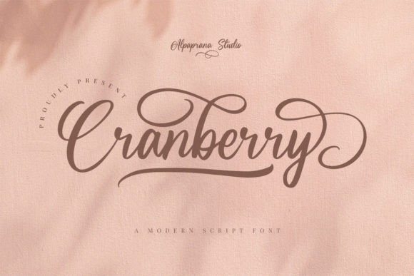 Elevate Your Campaigns with the Cranberry Script Font