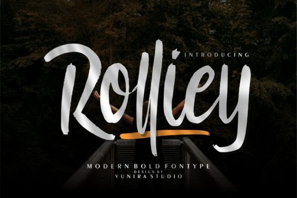 Rolliey: A Bold Handwritten Font for Modern Web and Digital Design
