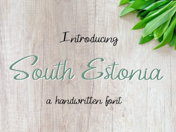 South Estonia: A Script Font That Elevates Small Business Branding